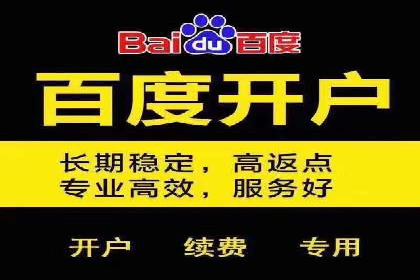 某企业通过百度SEM竞价推广实现品牌与销量的双丰收