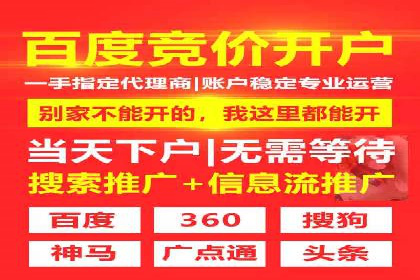 行业领先企业如何通过SEM推广代运营提升业绩